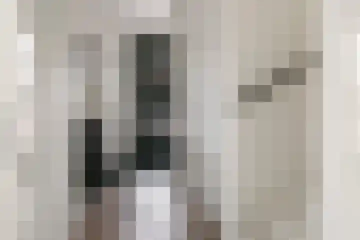 Ravelijn 37 Meteren thumbnail 17