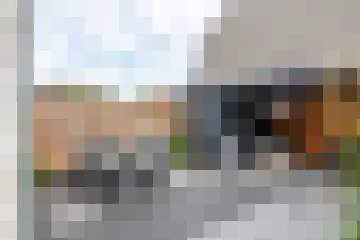 Ravelijn 37 Meteren thumbnail 31