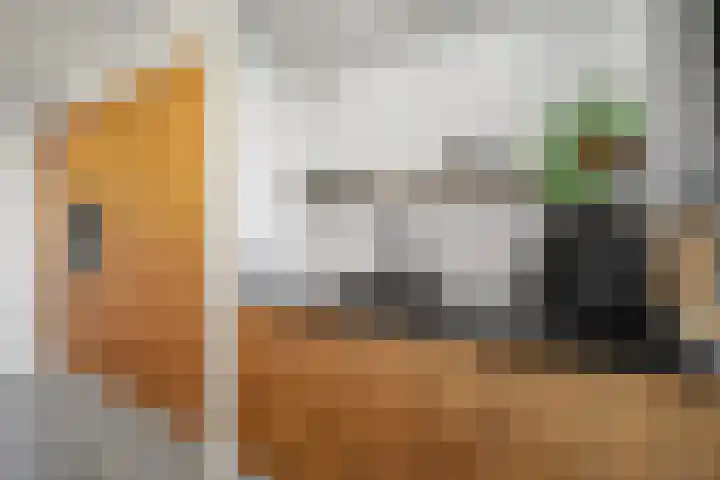 Ravelijn 4 Woudrichem thumbnail 15