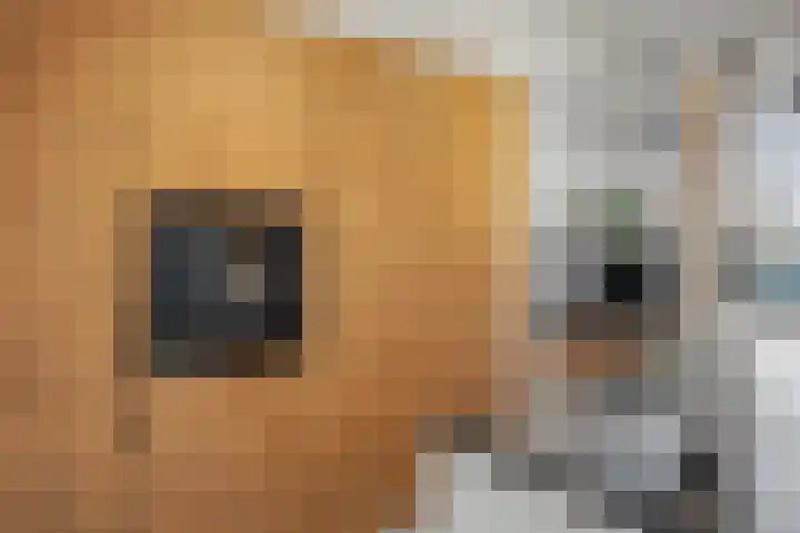 Ravelijn 4 Woudrichem thumbnail 16