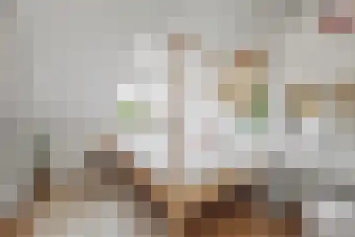 Ravelijn 4 Woudrichem thumbnail 38
