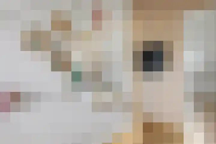 Ravelijn 4 Woudrichem thumbnail 39