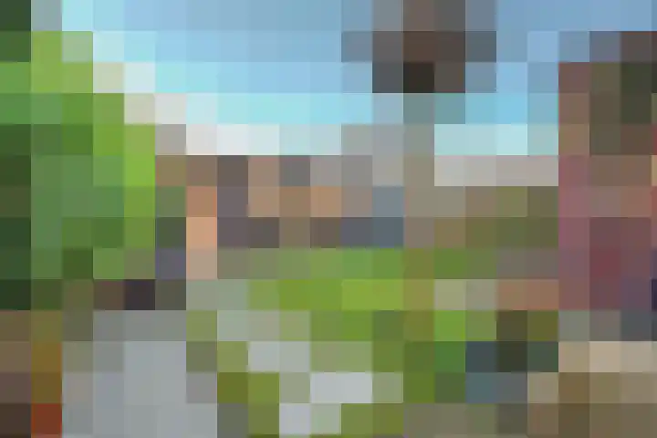 Ravelijn 4 Woudrichem thumbnail 42