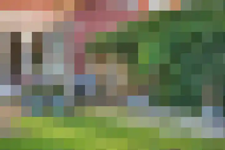 Ravelijn 4 Woudrichem thumbnail 47