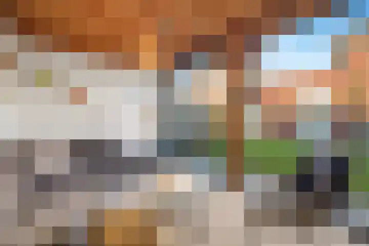 Ravelijn 4 Woudrichem thumbnail 51