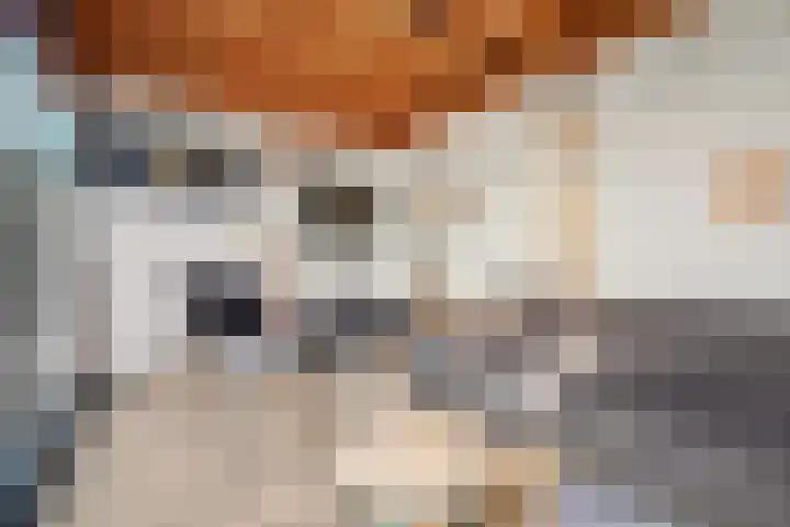Ravelijn 4 Woudrichem thumbnail 52