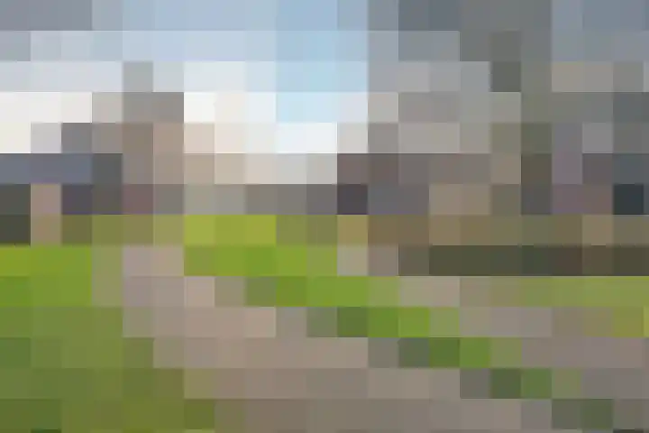 Ravelijn 4 Woudrichem thumbnail 57