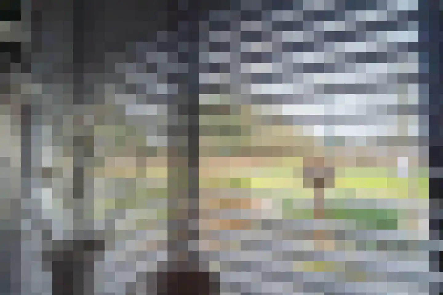 Ravelijn 40 Emmen thumbnail 13