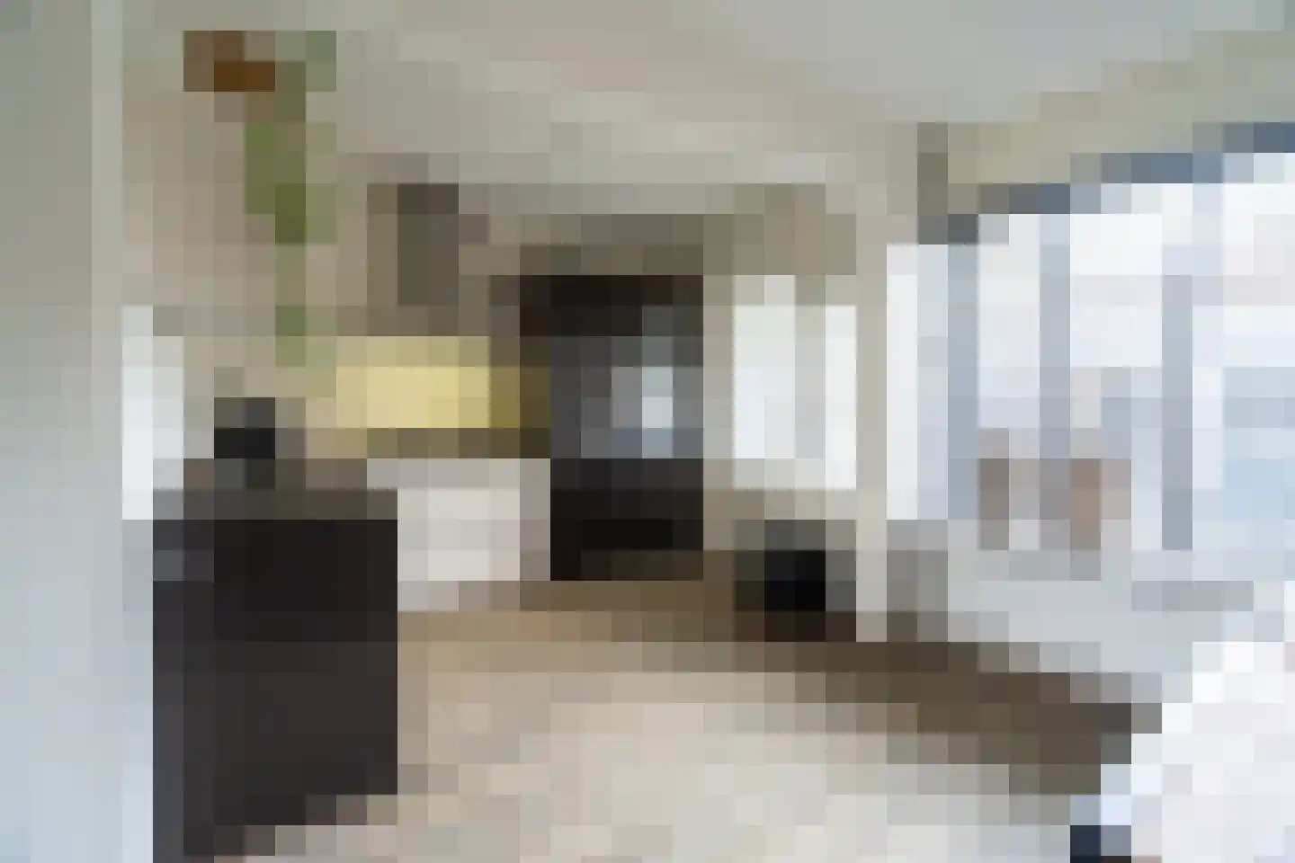 Ravelijn 40 Emmen thumbnail 21