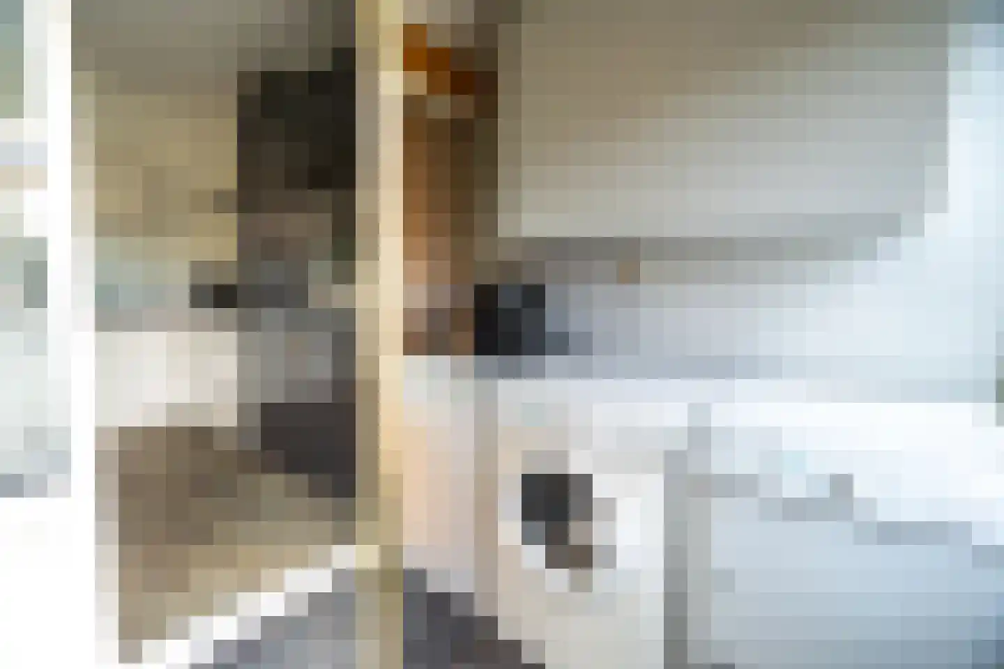 Ravelijn 40 Emmen thumbnail 22