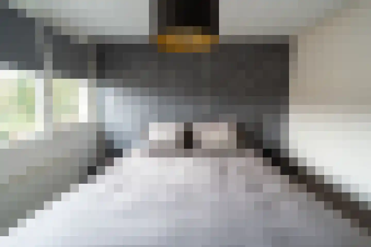Ravelijn 40 Emmen thumbnail 30