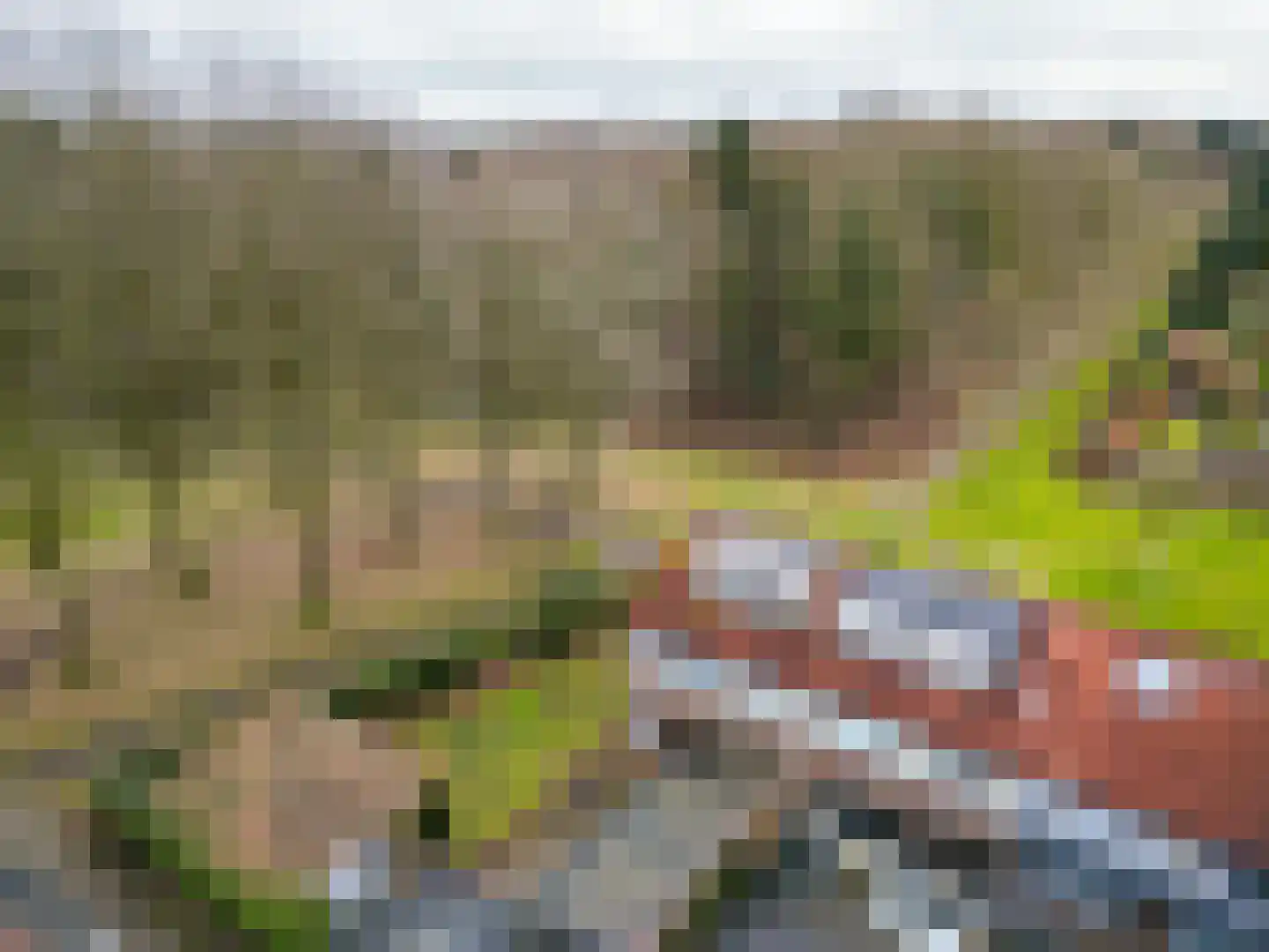 Ravelijn 40 Emmen thumbnail 4