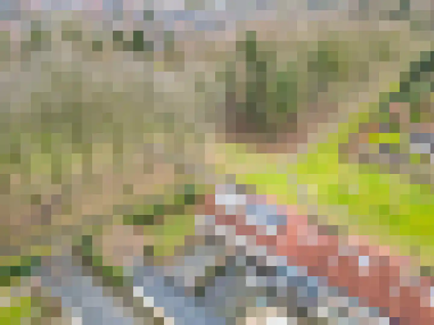 Ravelijn 40 Emmen thumbnail 44