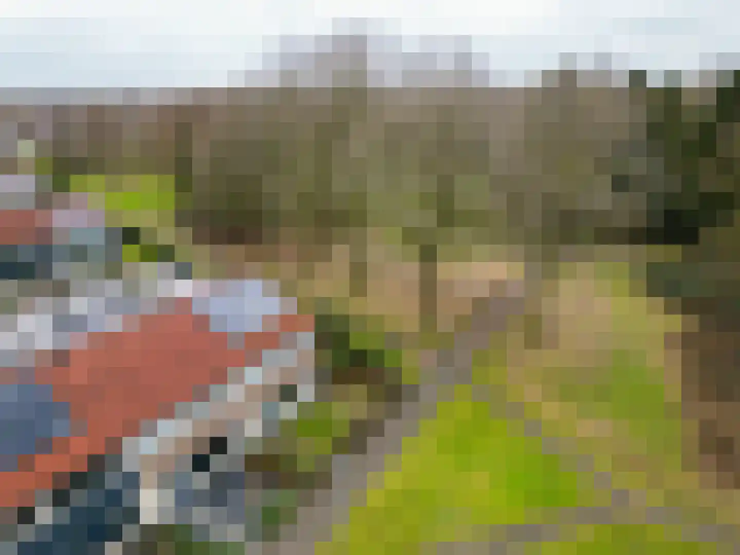 Ravelijn 40 Emmen thumbnail 45