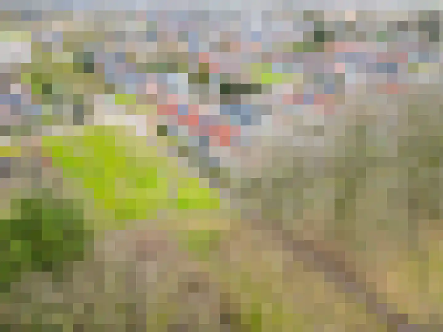 Ravelijn 40 Emmen thumbnail 47