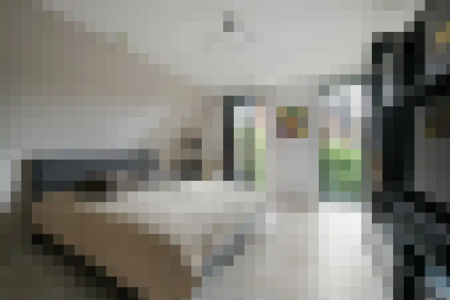 Ravelijn 40 Vijfhuizen thumbnail 11