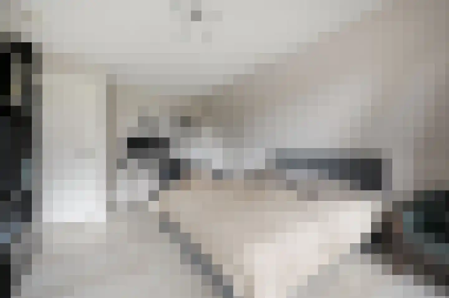 Ravelijn 40 Vijfhuizen thumbnail 12