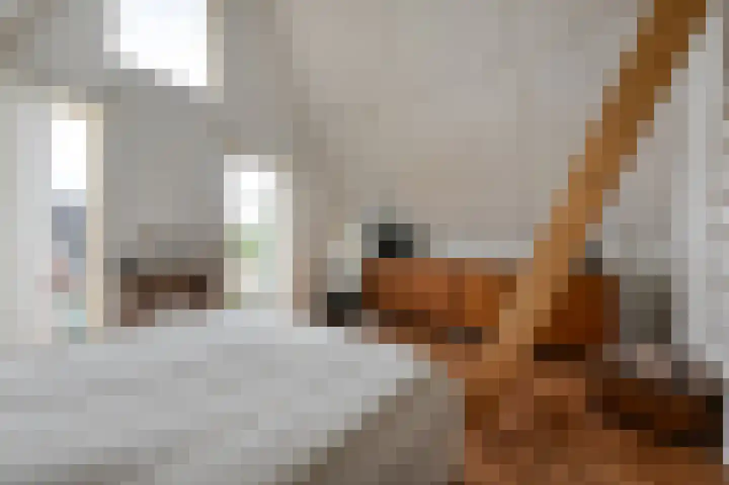 Ravelijn 40 Vijfhuizen thumbnail 17