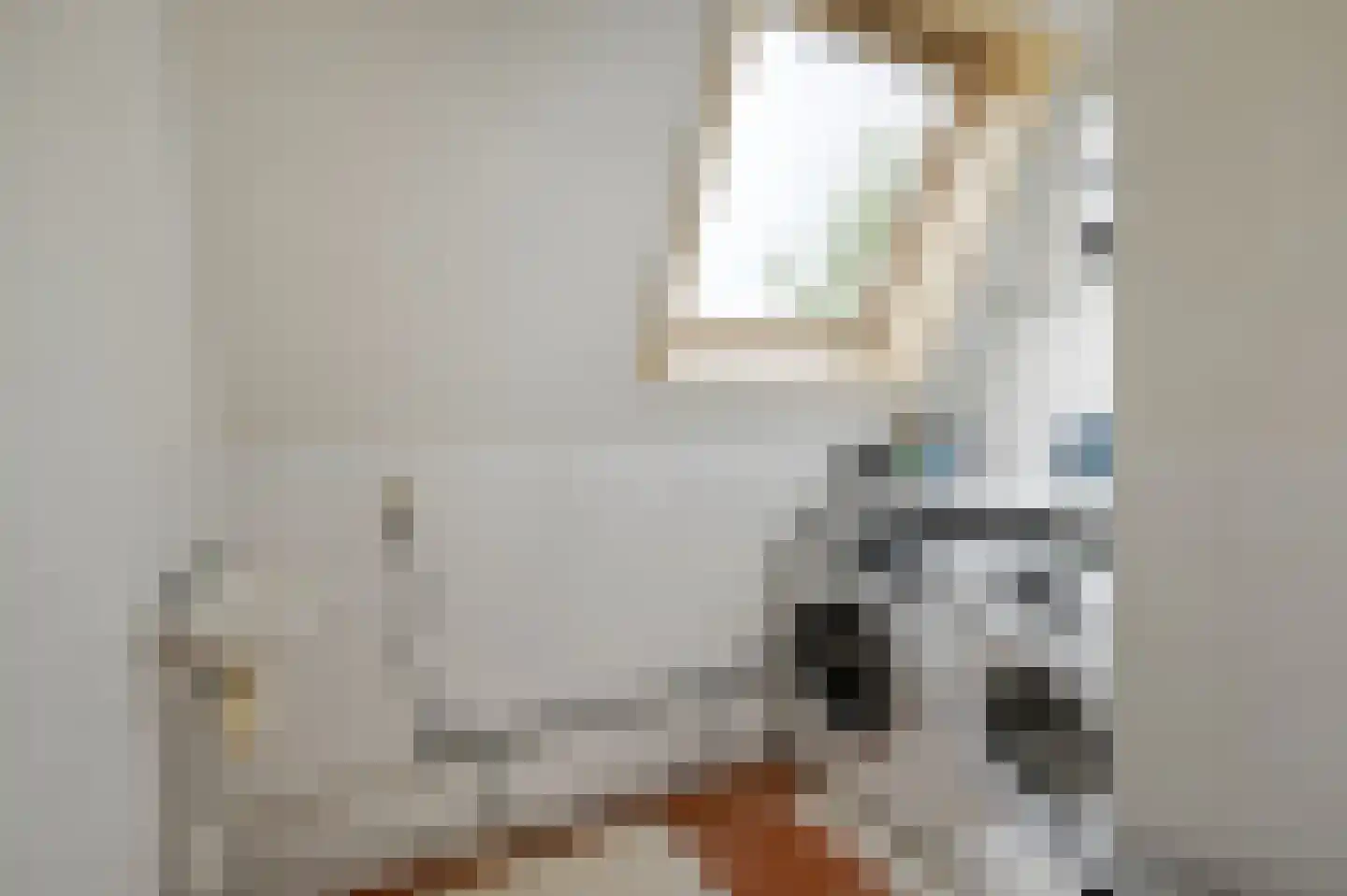 Ravelijn 40 Vijfhuizen thumbnail 19