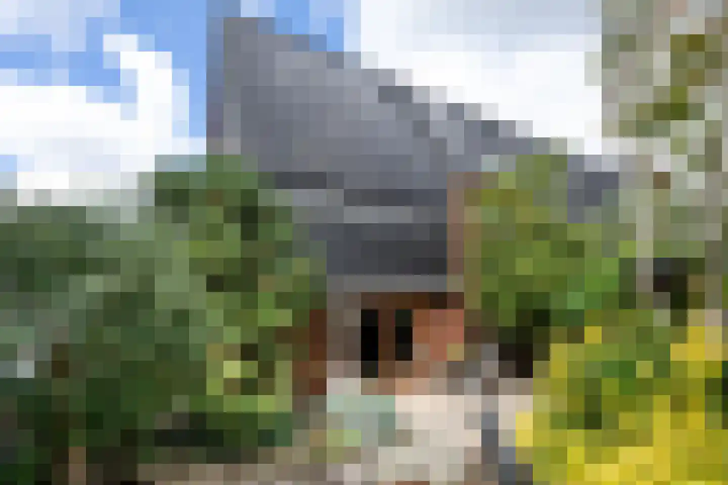 Ravelijn 40 Vijfhuizen thumbnail 21