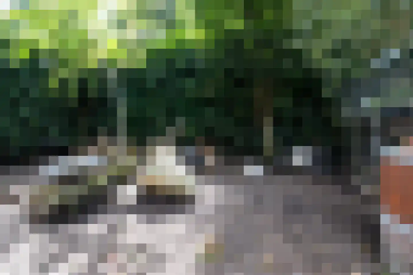 Ravelijn 40 Vijfhuizen thumbnail 24