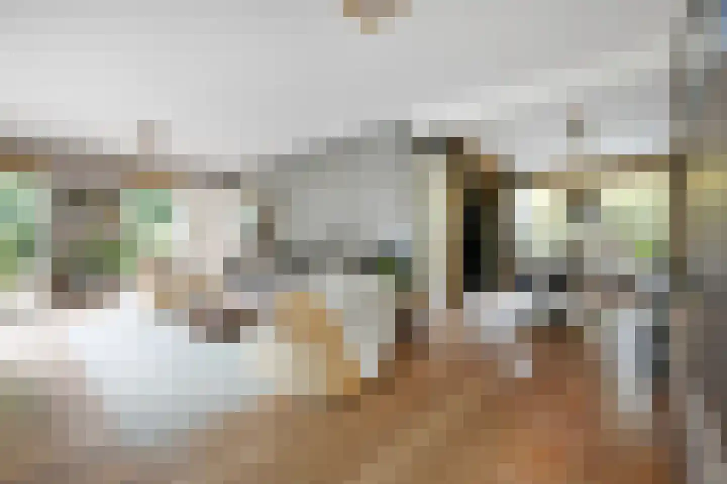 Ravelijn 40 Vijfhuizen thumbnail 5