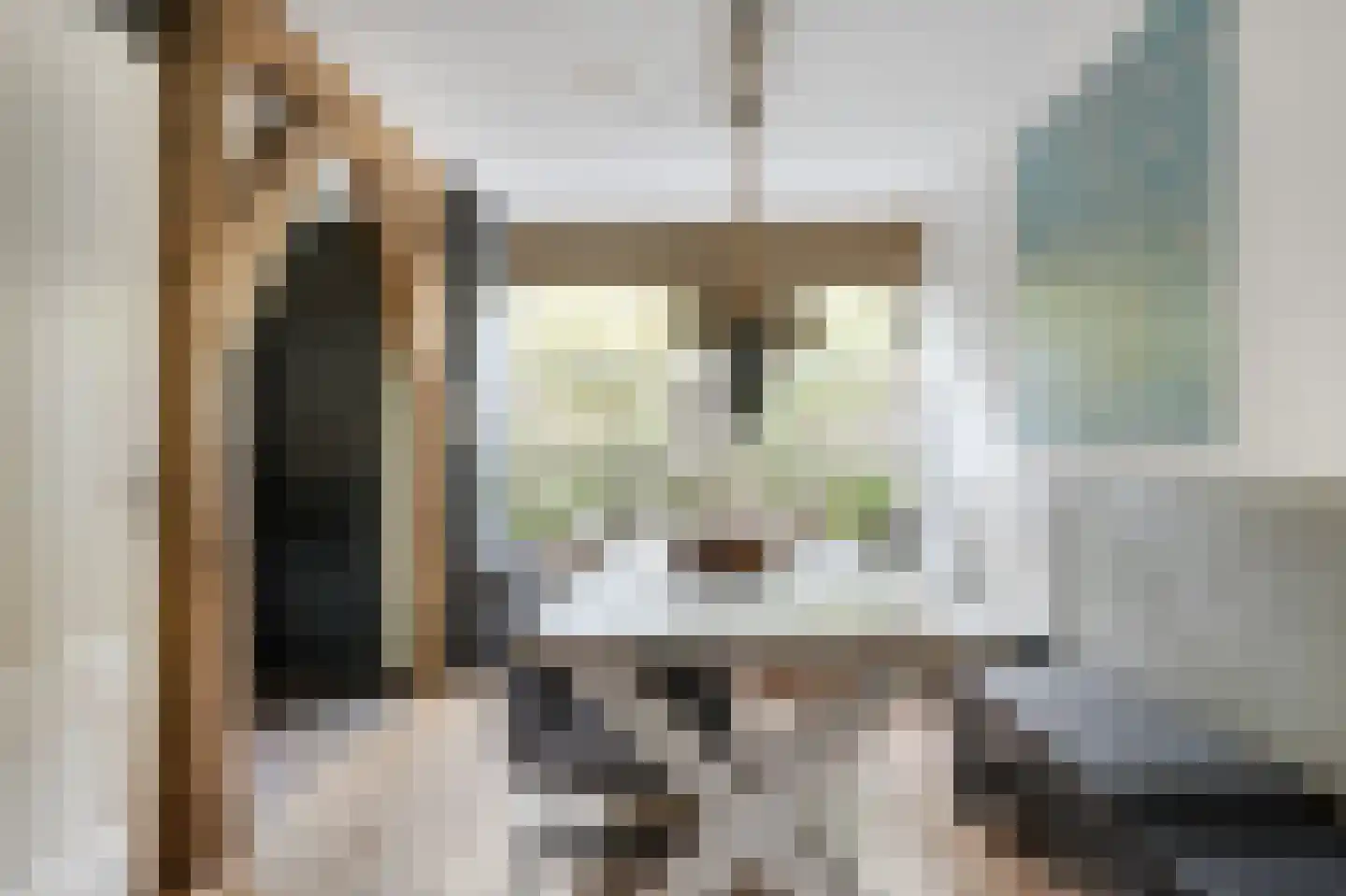 Ravelijn 40 Vijfhuizen thumbnail 6