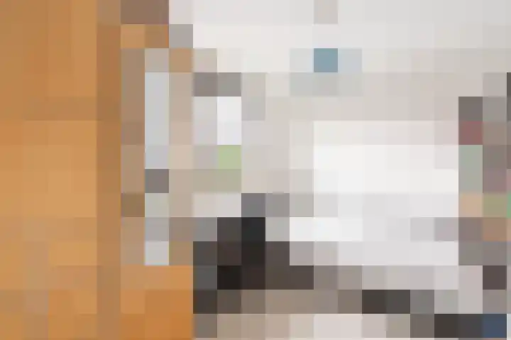 Ravelijn 44 Apeldoorn thumbnail 13