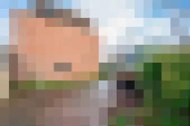 Ravelijn 44 Apeldoorn thumbnail 27