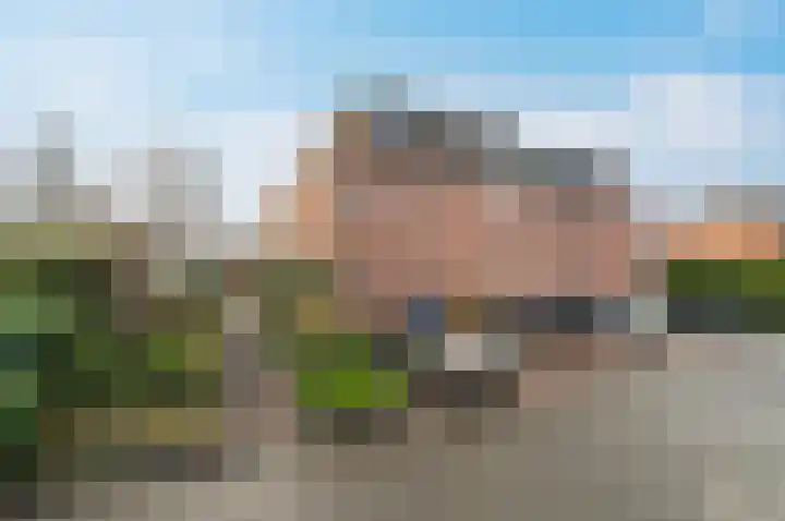 Ravelijn 44 Apeldoorn thumbnail 31