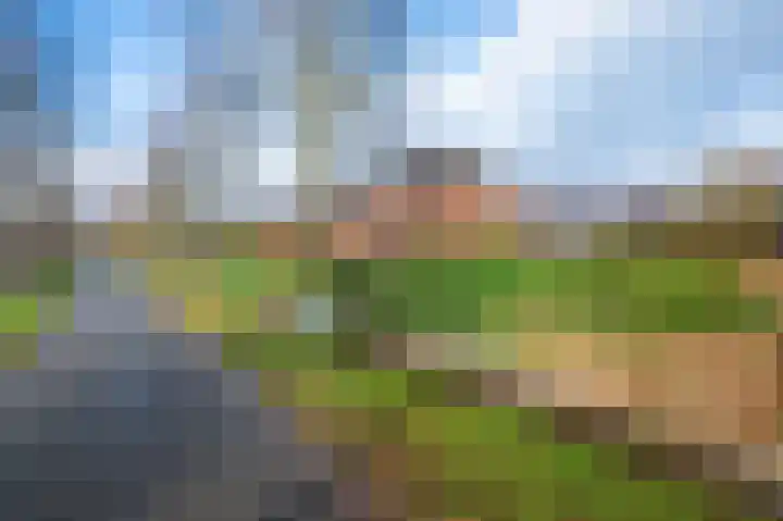 Ravelijn 44 Apeldoorn thumbnail 33