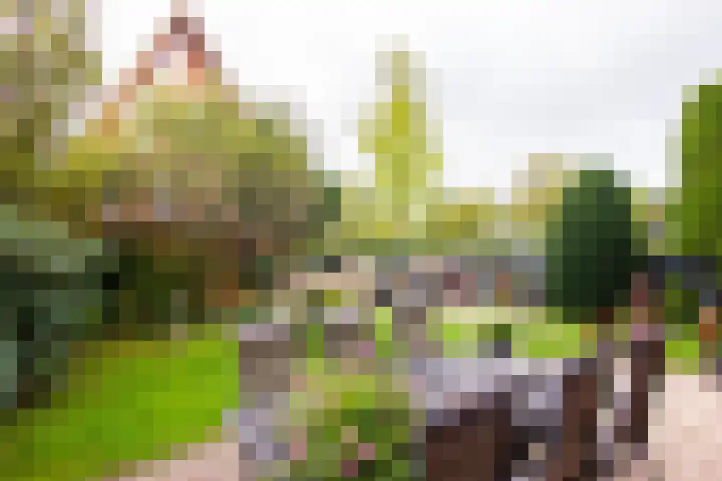 Ravelijn 44 Vijfhuizen thumbnail 17