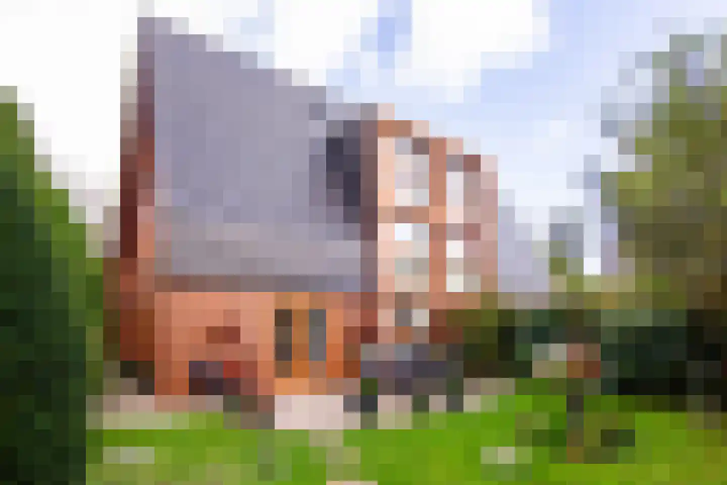 Ravelijn 44 Vijfhuizen thumbnail 19
