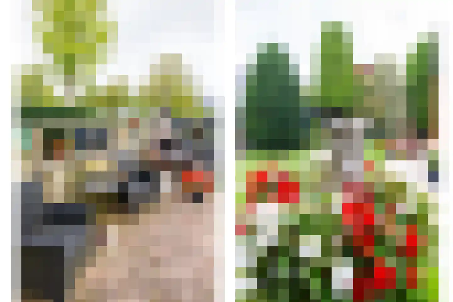 Ravelijn 44 Vijfhuizen thumbnail 20
