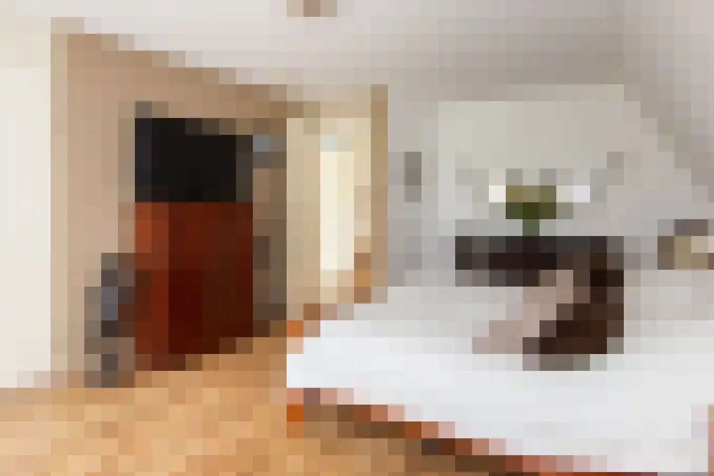 Ravelijn 44 Vijfhuizen thumbnail 30