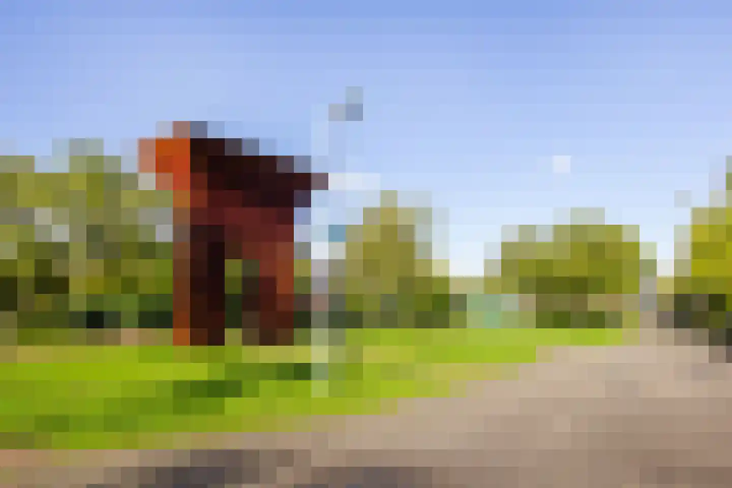 Ravelijn 44 Vijfhuizen thumbnail 40