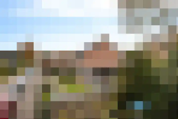 Ravelijn 47 Emmen thumbnail 36