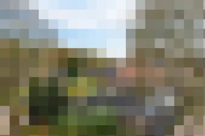 Ravelijn 47 Emmen thumbnail 37
