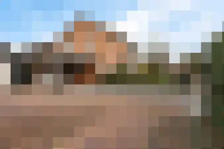 Ravelijn 47 Emmen thumbnail 42