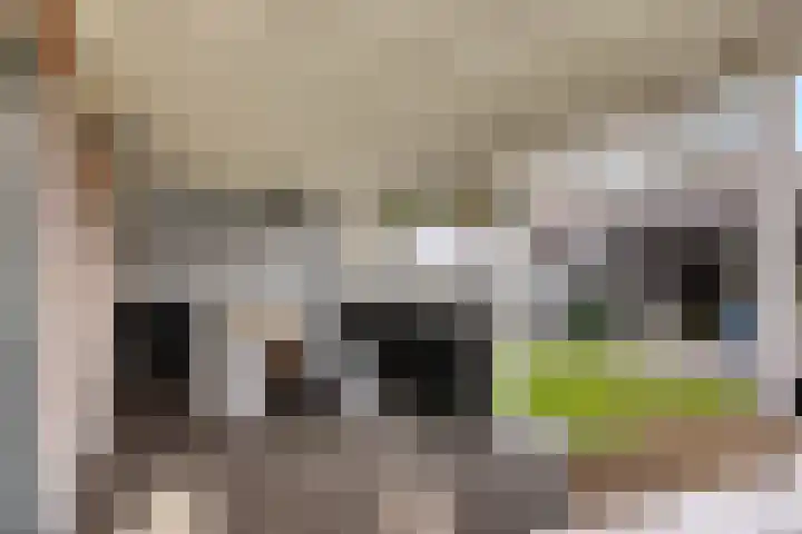 Ravelijn 47 Emmen thumbnail 43