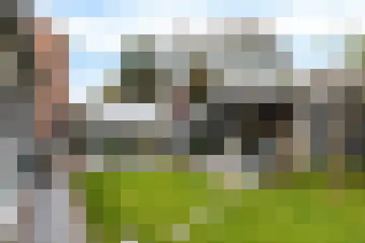 Ravelijn 47 Emmen thumbnail 44