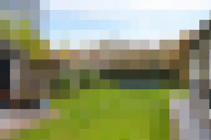 Ravelijn 47 Emmen thumbnail 45