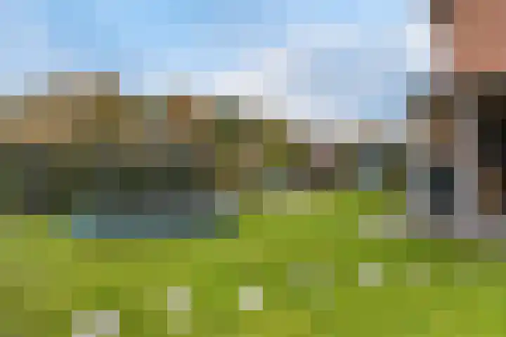 Ravelijn 47 Emmen thumbnail 46