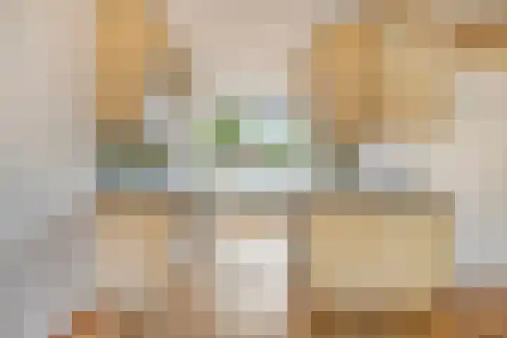 Ravelijn 48 Vijfhuizen thumbnail 10
