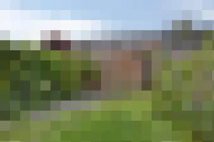 Ravelijn 48 Vijfhuizen thumbnail 14
