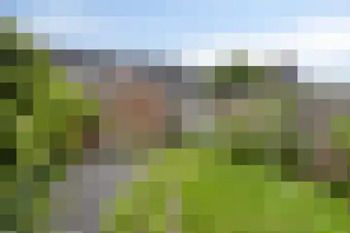 Ravelijn 48 Vijfhuizen thumbnail 15