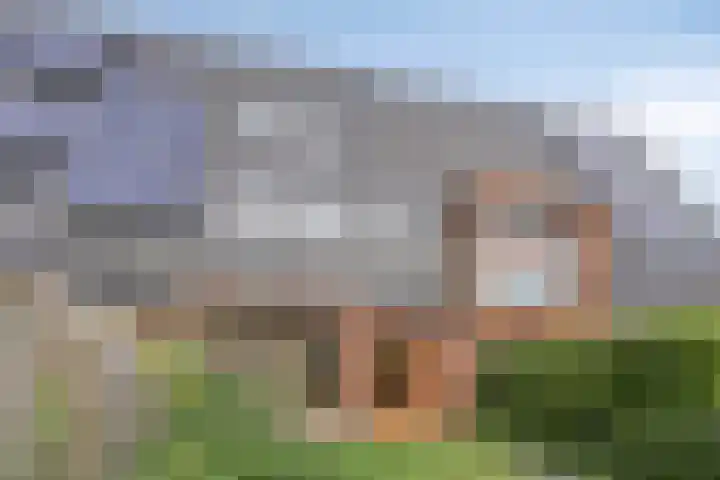 Ravelijn 48 Vijfhuizen thumbnail 16