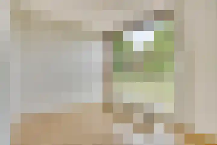 Ravelijn 48 Vijfhuizen thumbnail 21