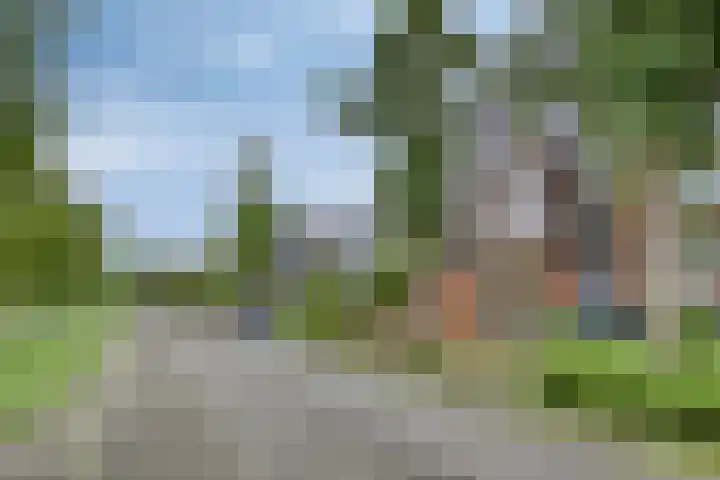 Ravelijn 48 Vijfhuizen thumbnail 31