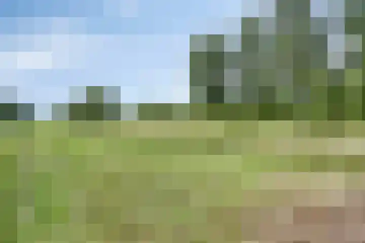 Ravelijn 48 Vijfhuizen thumbnail 33